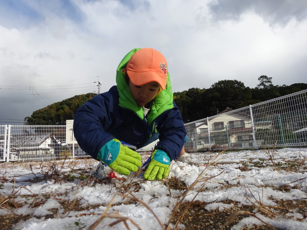 雪