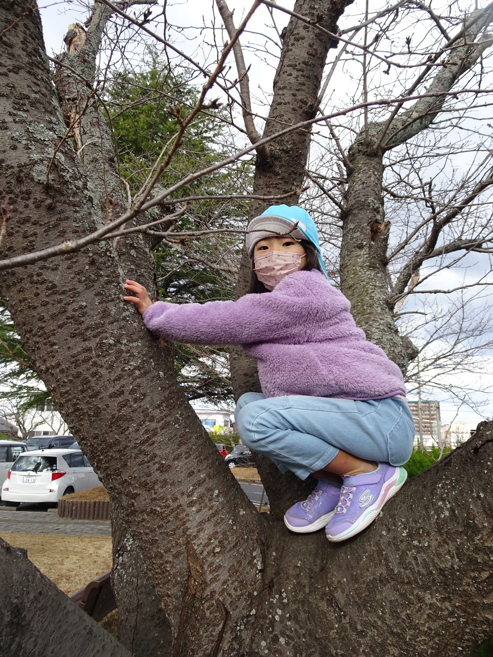 木登り