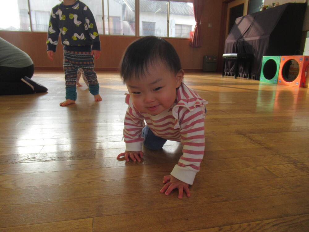 ハイハイで周りを探索する子ども