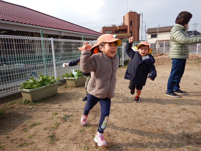 凧揚げをする様子