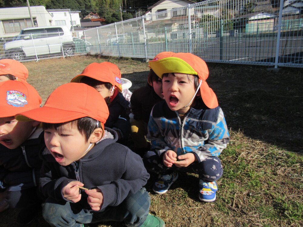応援をしている