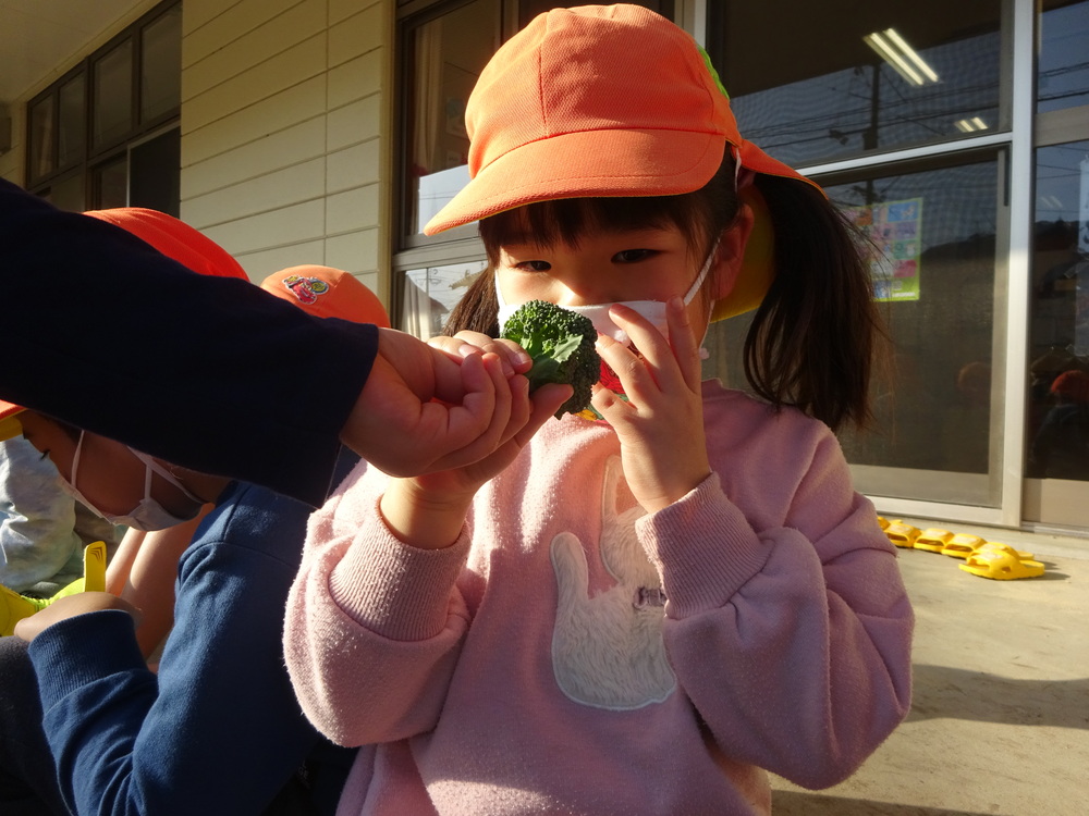 野菜を匂う様子