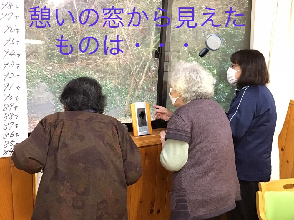 動物