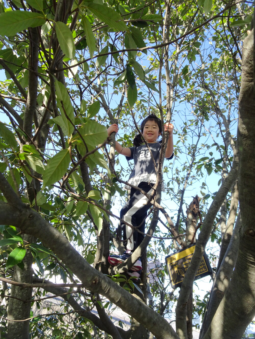 あすてらす公園