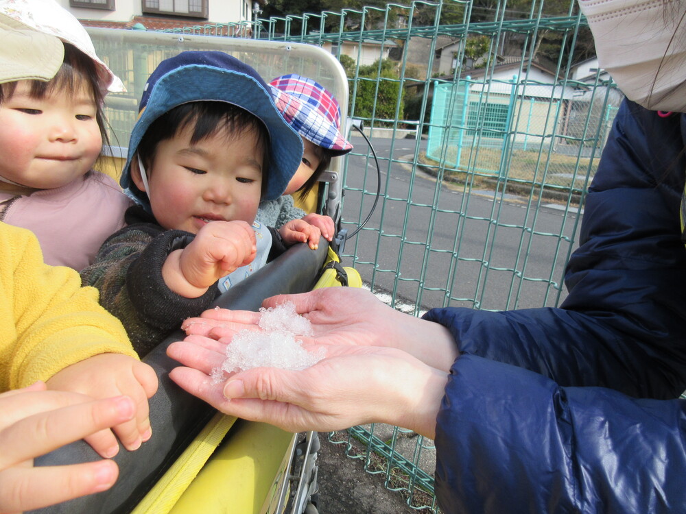 雪を触っている