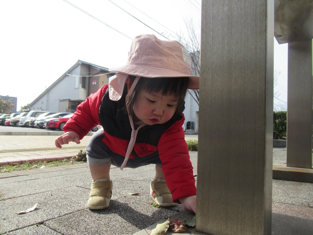 男の子が葉っぱを並べている