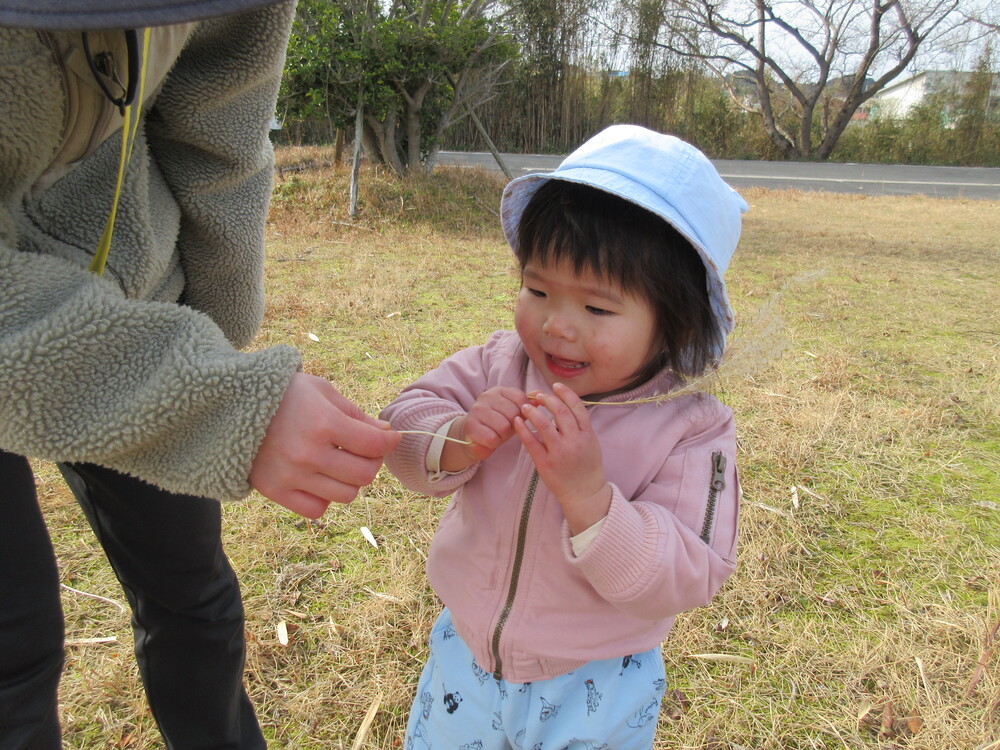 ススキを持っている