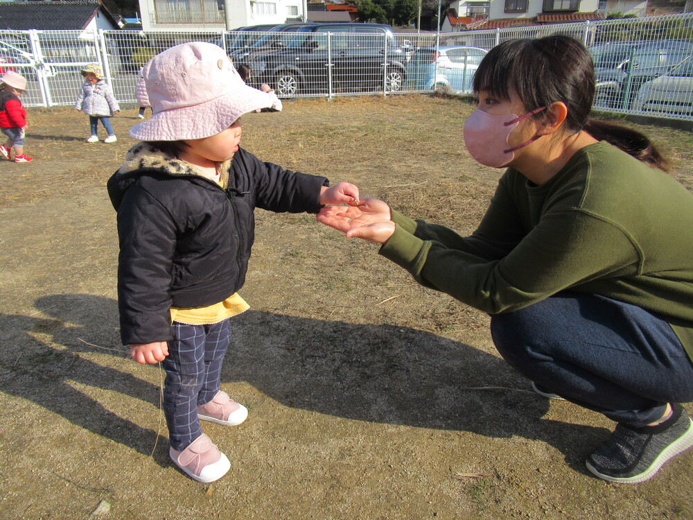 保育者に木を渡す