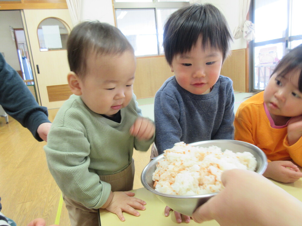 ご飯を見る