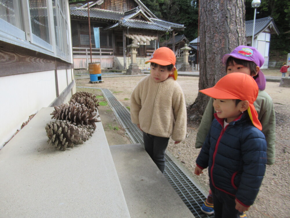 松ぼっくりを見ている子ども達