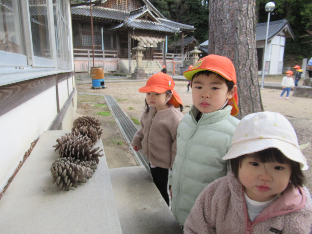 松ぼっくりを見ている子ども達