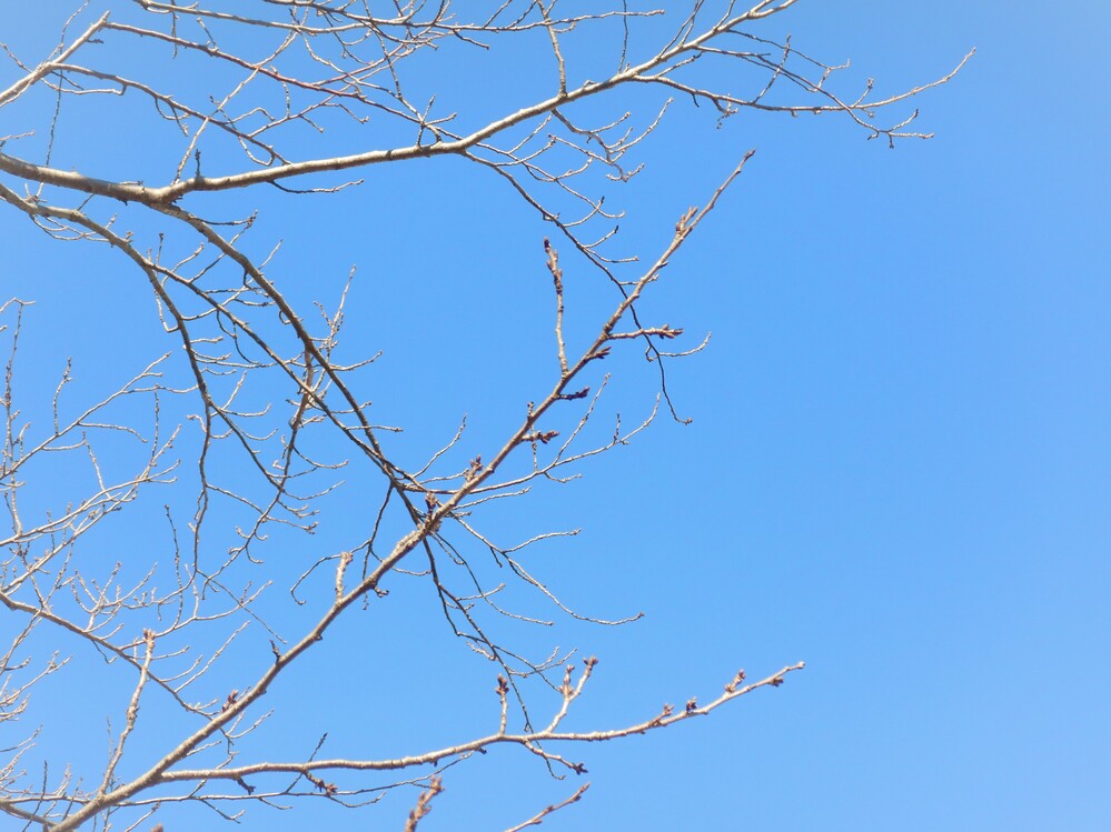 ばす組　散歩　長久児童公園