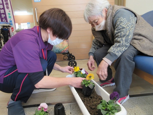 寄せ植え3