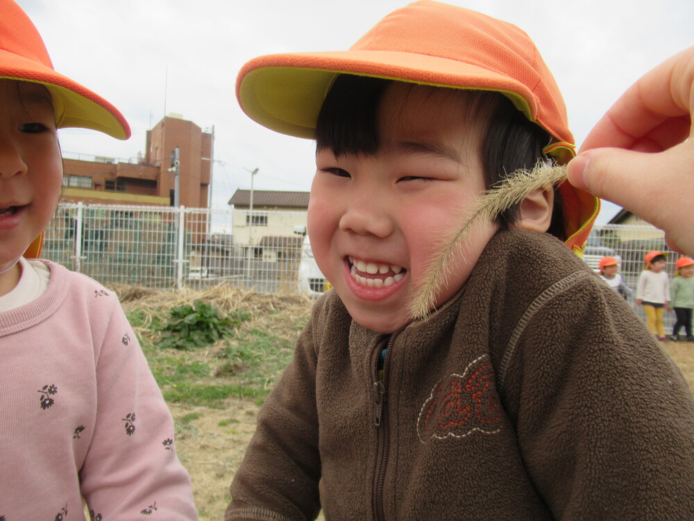 猫じゃらしで笑っている男の子
