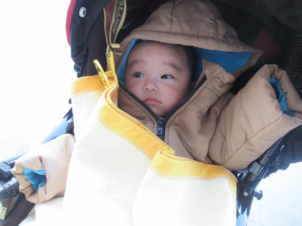 消防車を見る子ども