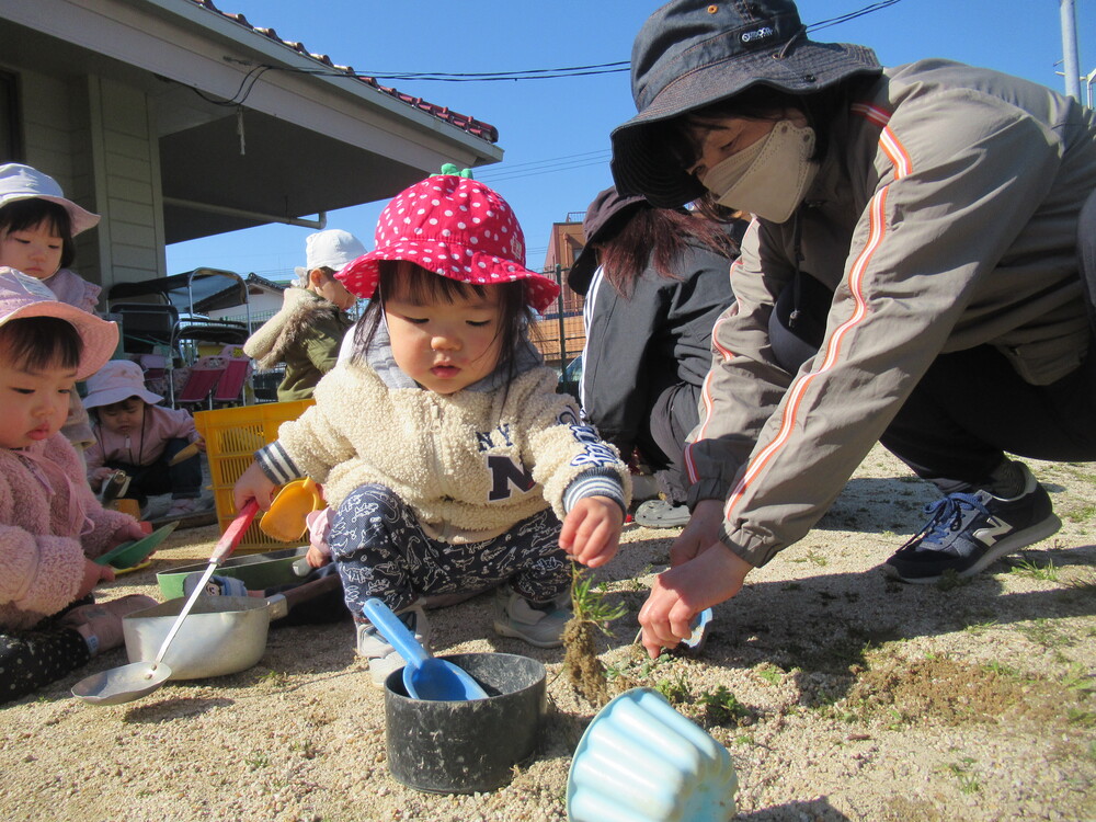 男の子が草を持っている