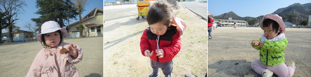 子どもたちが葉っぱや木のみを持っている
