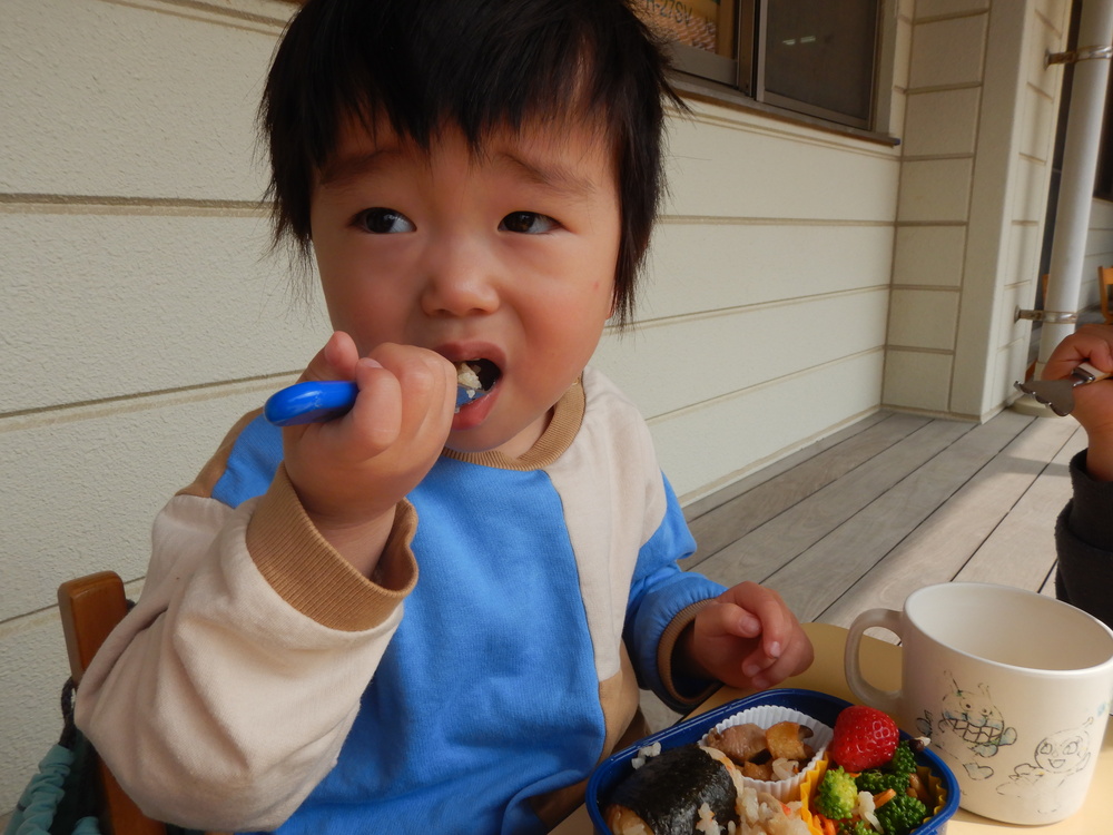 お弁当を食べる