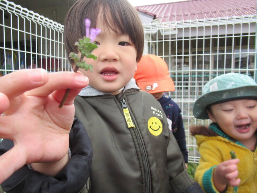 お花を見つけた男の子