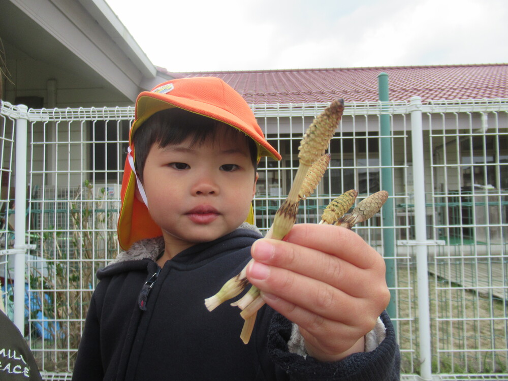 つくしを見つけた男の子