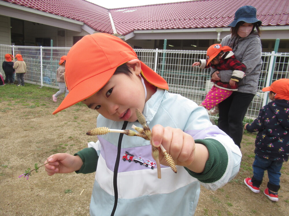 つくしを見つけた男の子