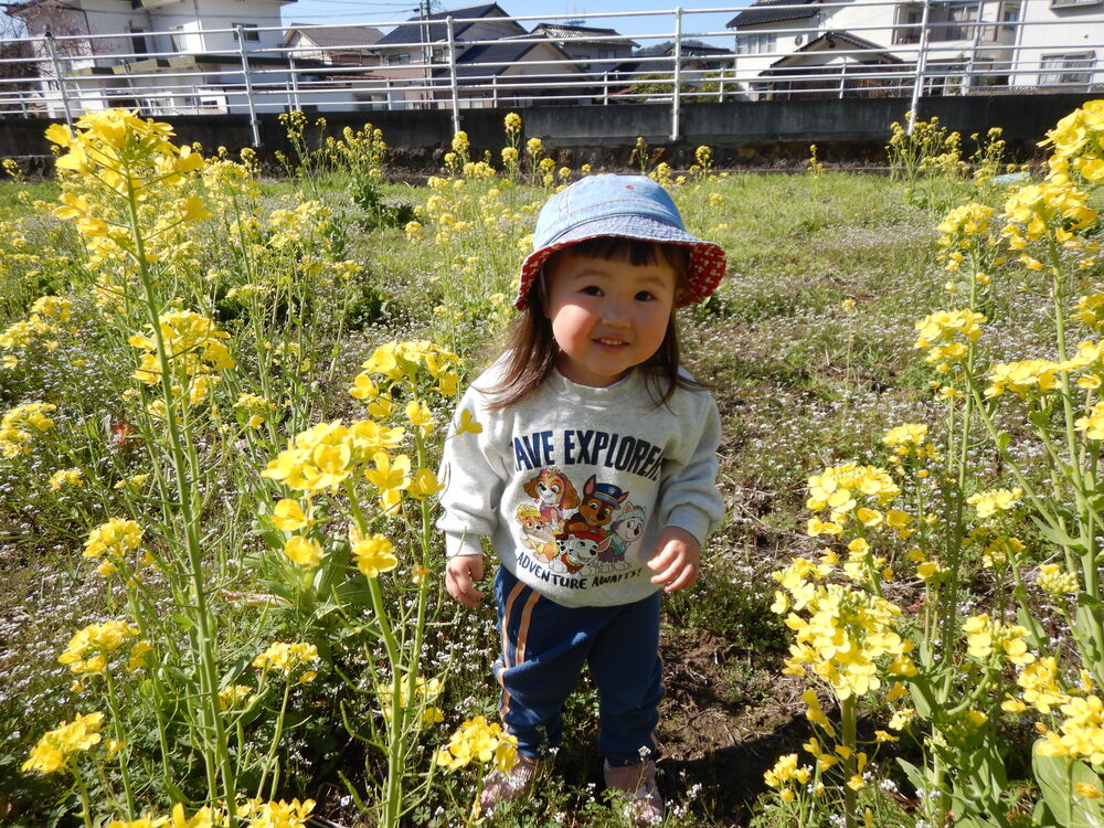 菜の花で遊ぶ