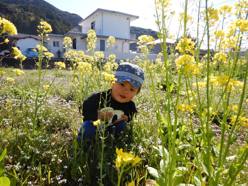 菜の花で遊ぶ