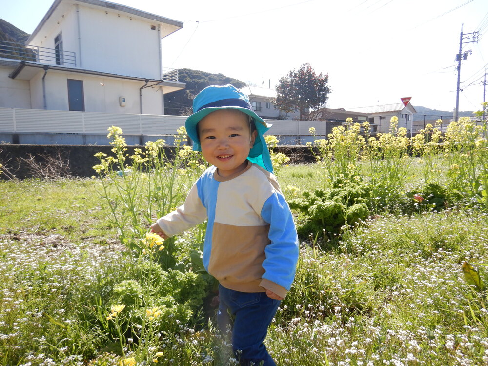 菜の花で遊ぶ