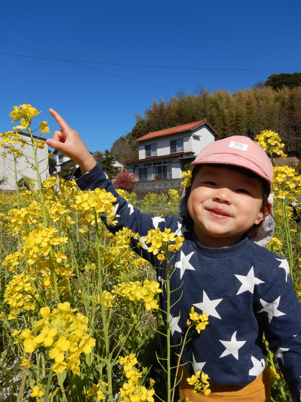 菜の花で遊ぶ