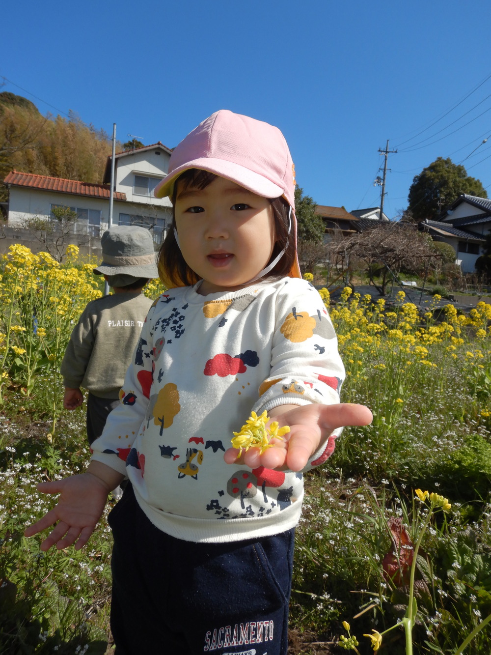 菜の花で遊ぶ