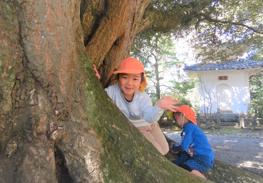 ばす組　散歩　法蔵寺　木登り