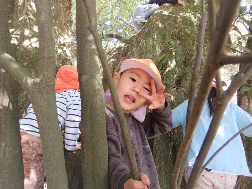 ばす組　散歩　法蔵寺　木登り