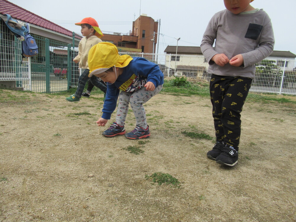 園庭で遊んでいる