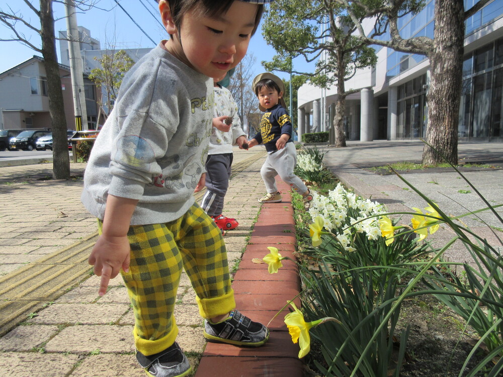 お花を見ている