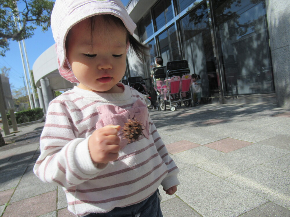 女の子が木の実を持っている