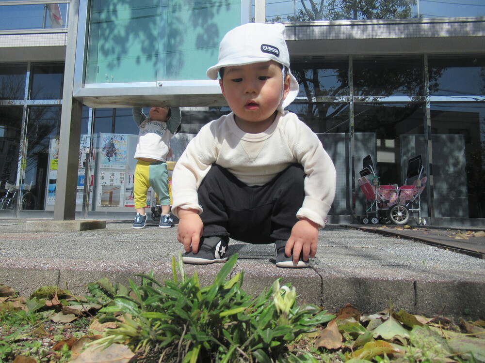 男の子がお花を見つけている