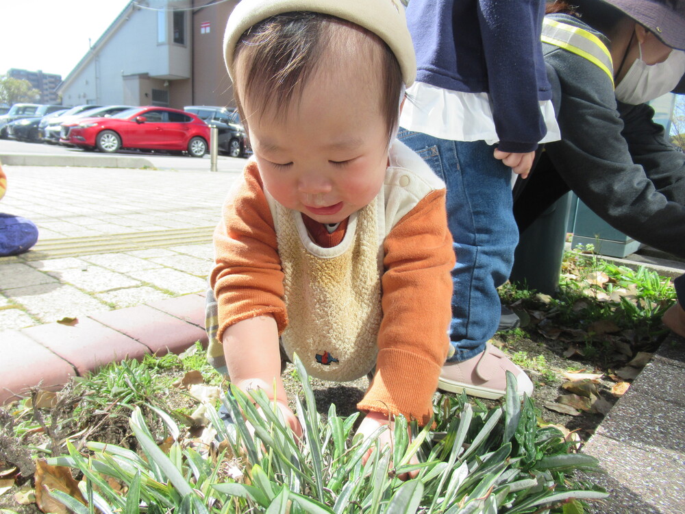 男の子が葉っぱを触っている