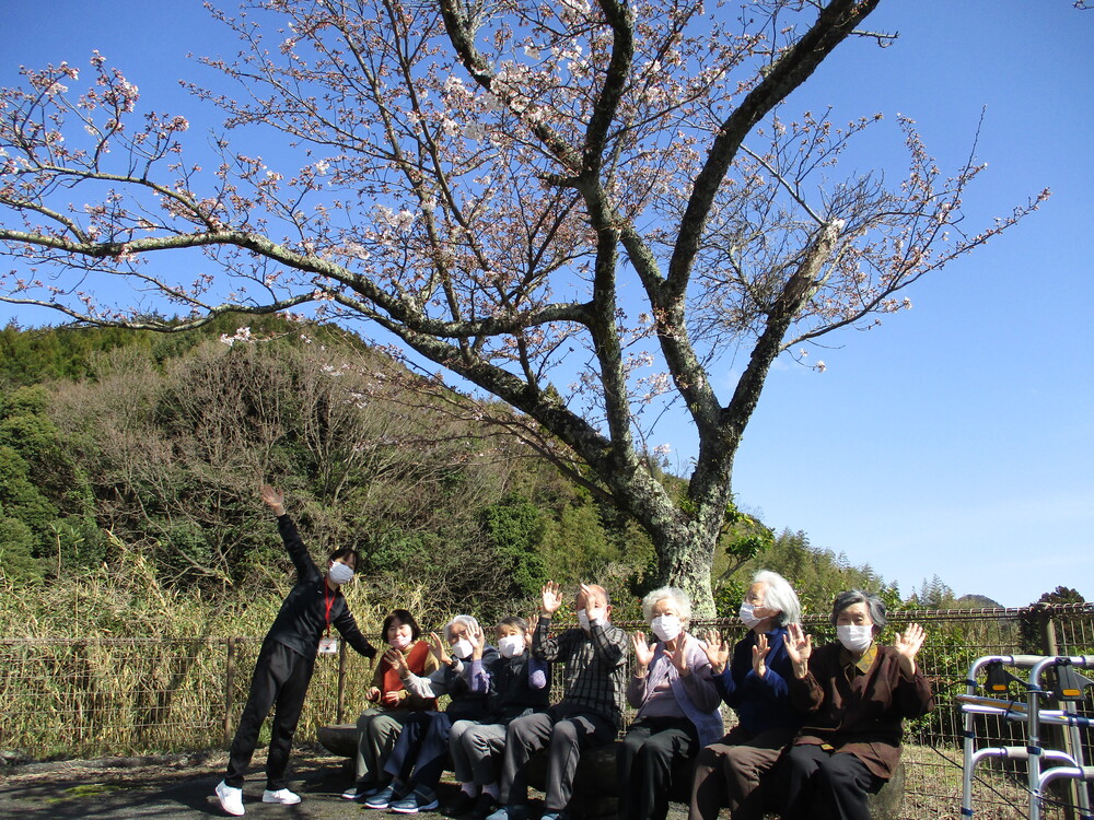 桜の木の下で