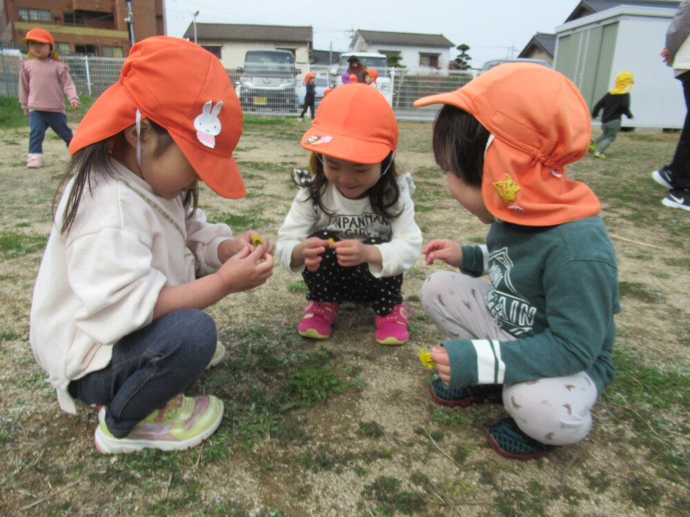 たんぽぽを持っている