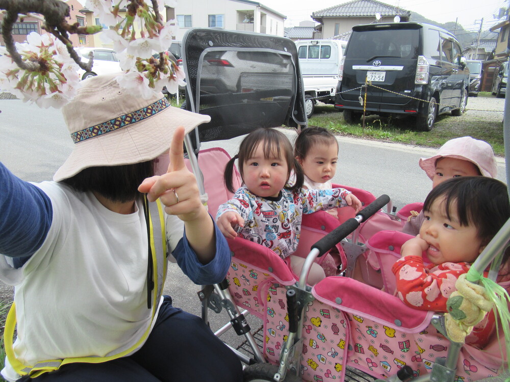 桜に興味津々な子ども