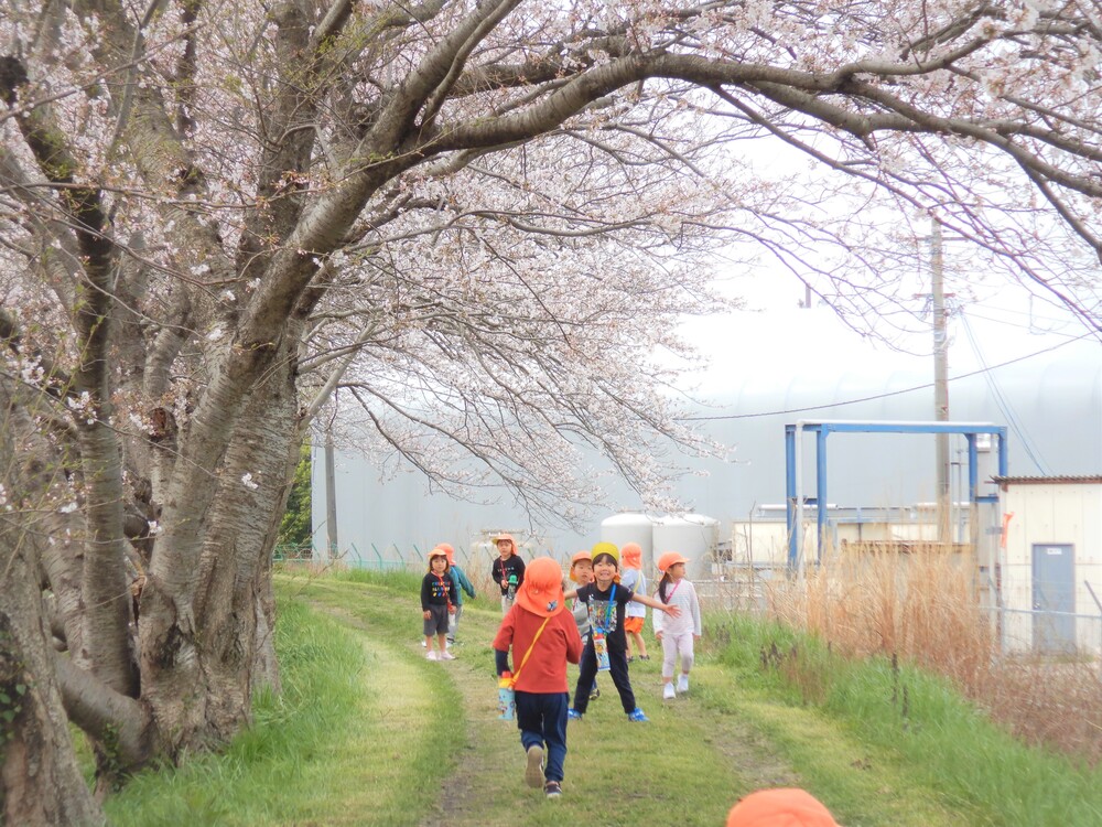 ばす組 お花見散歩 