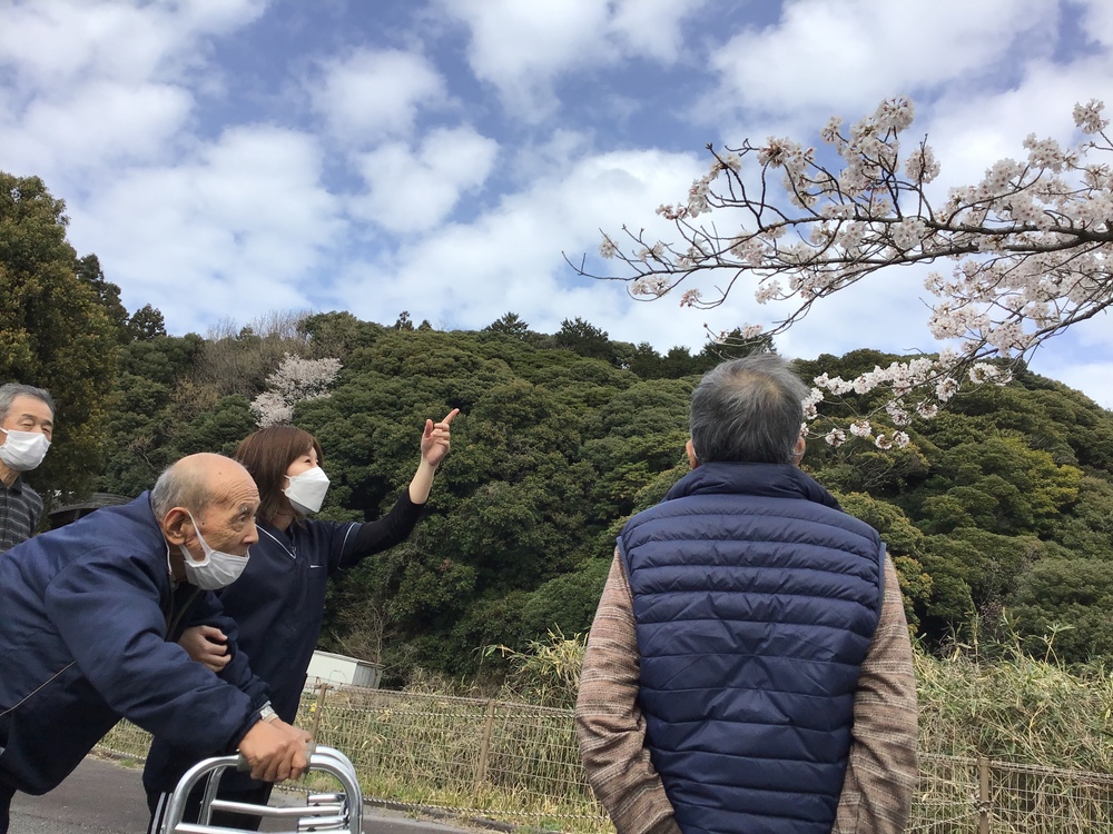 お花見