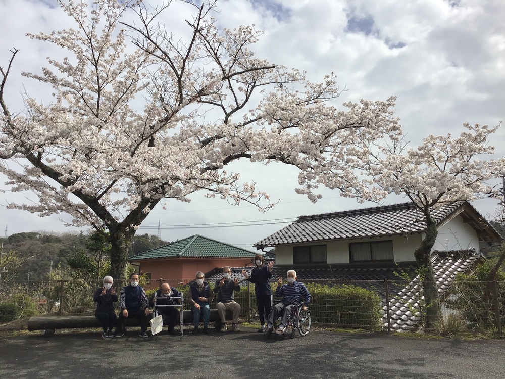 お花見