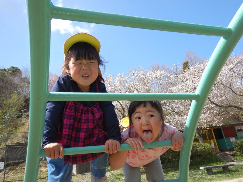 散歩の様子 