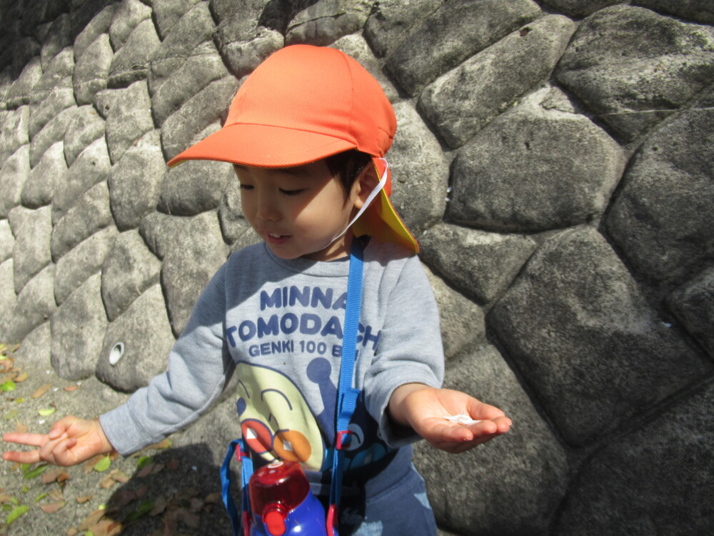 桜の花びらを見つけた男の子