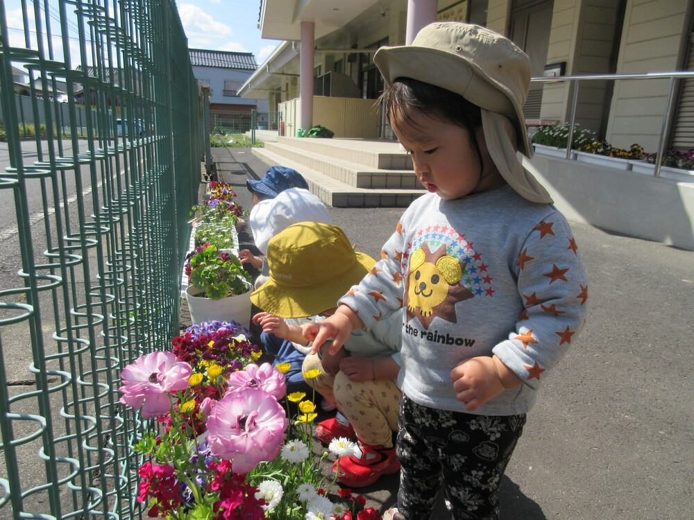 玄関前の花を見ている