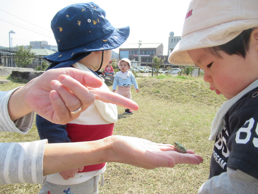 カエルを見る子ども