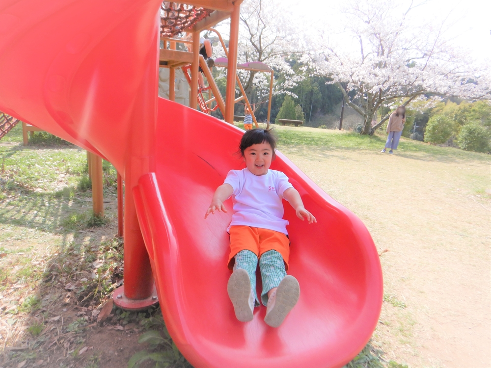 ばす組 市民公園 お散歩の様子