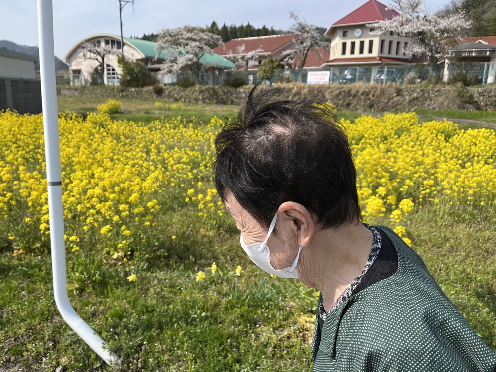 菜の花の横を通って