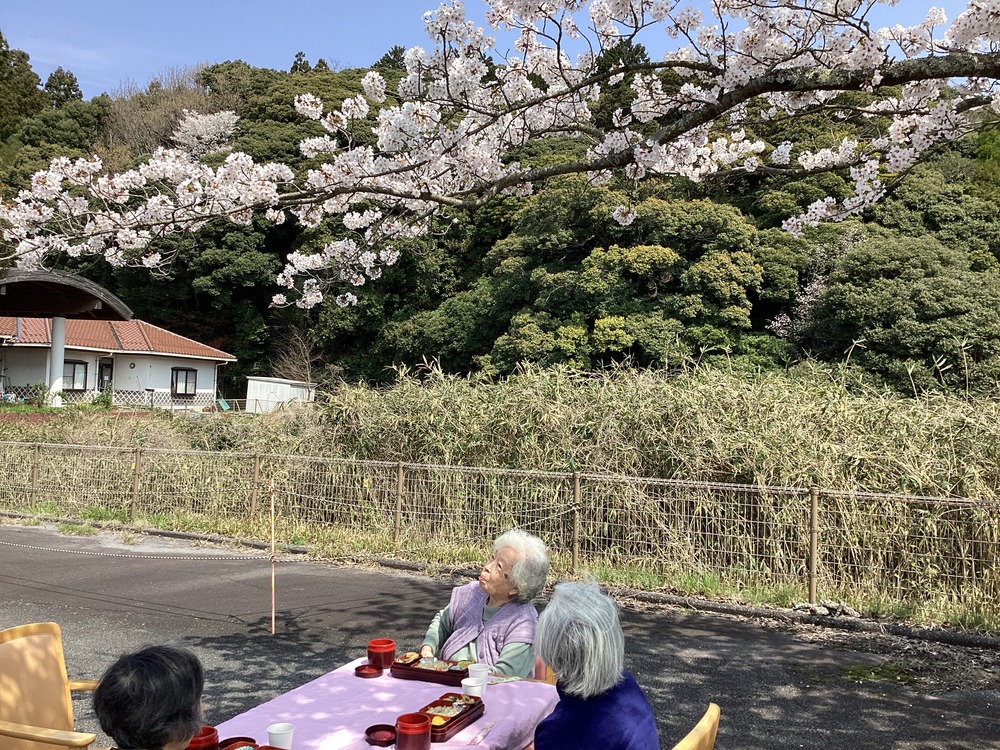 野外食